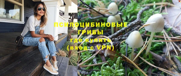 скорость Заводоуковск