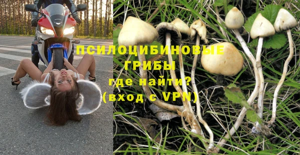 скорость Заводоуковск